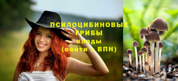 марки nbome Инта