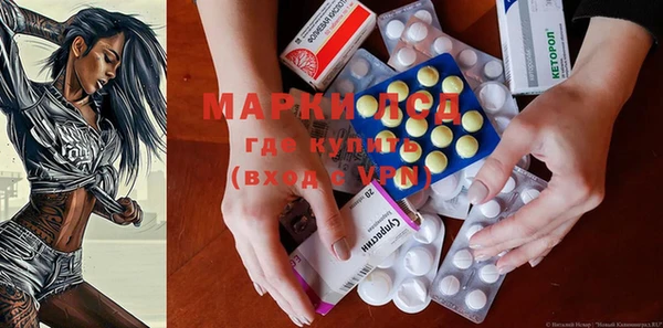 ГАЛЛЮЦИНОГЕННЫЕ ГРИБЫ Каменногорск