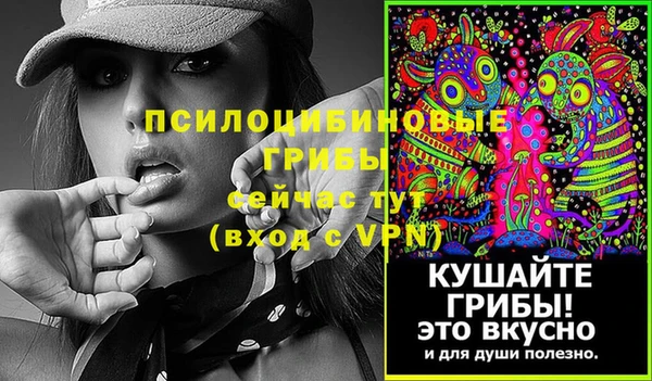 марки nbome Инта